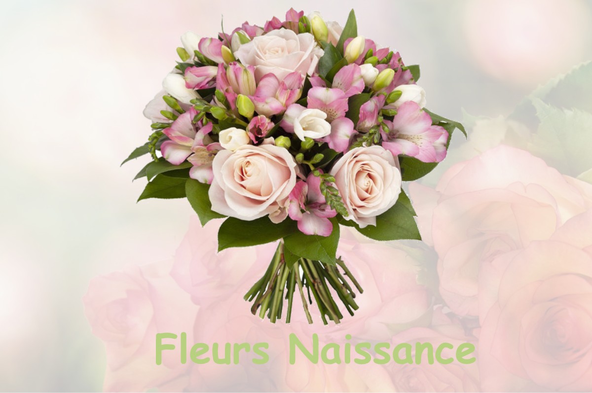 fleurs naissance VAILLY-SUR-AISNE