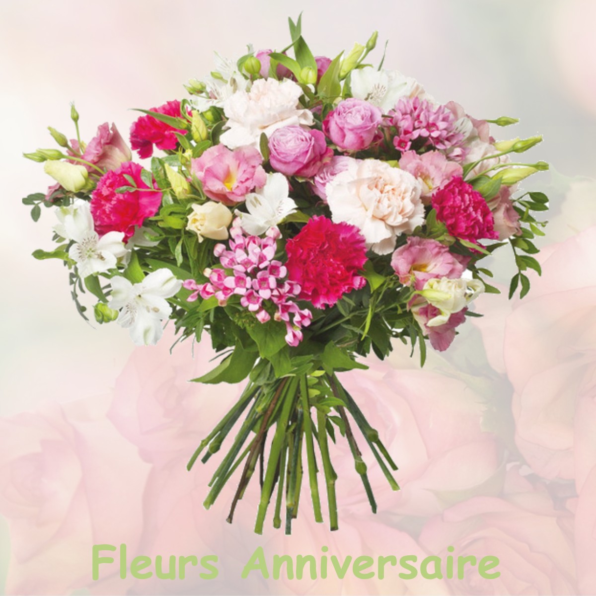 fleurs anniversaire VAILLY-SUR-AISNE
